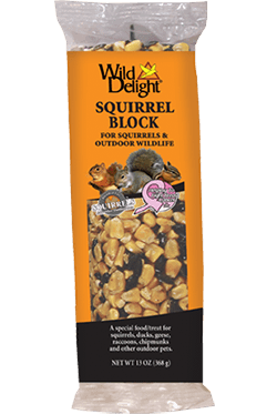 gray squirrel wild delightwild delight gray squirrel wild delightwild delight