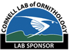 CornellLabofOrnithology-Logo