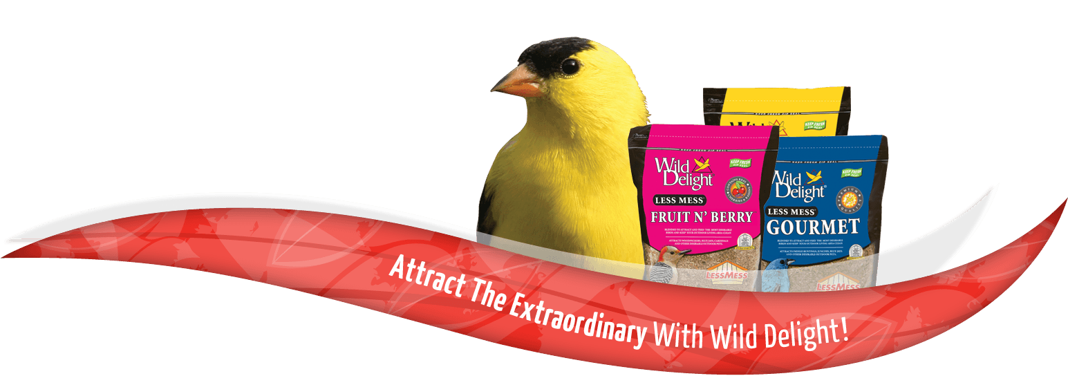 Wild Delight Premium Nutrition For Outdoor PetsWild Delight Premium Nutrition For Outdoor Pets