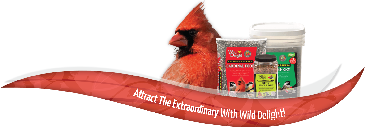 Wild Delight Premium Nutrition For Outdoor PetsWild Delight Premium Nutrition For Outdoor Pets