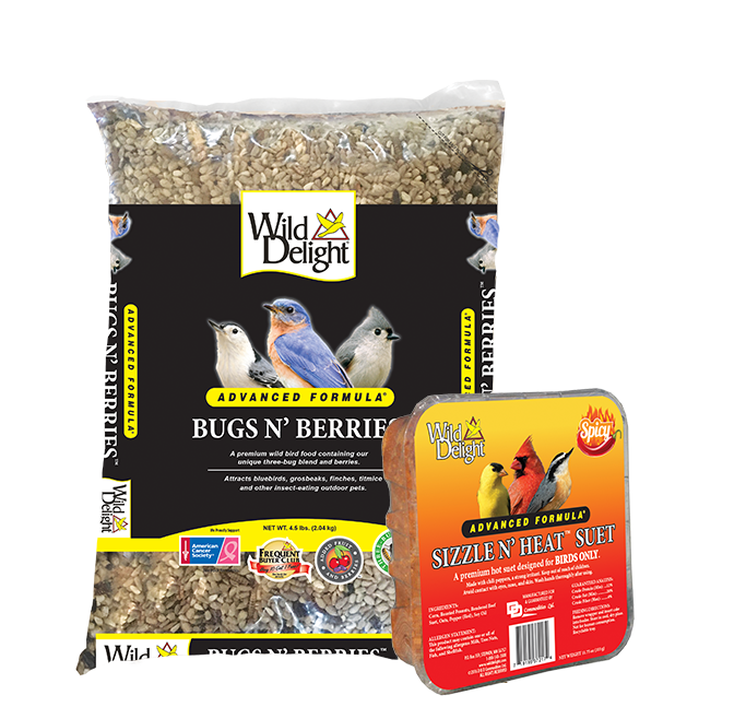 parrot food store near me